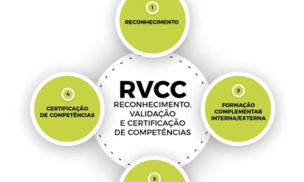 RVCC 12.º Ano Online: Como Concluir os Estudos Sem Sair de Casa