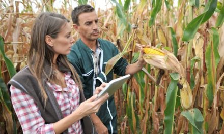 Curso de gestão agrícola à distância (com certificado)