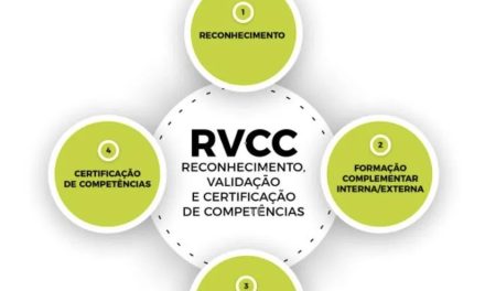 RVCC 12.º Ano Online: Como Concluir os Estudos Sem Sair de Casa
