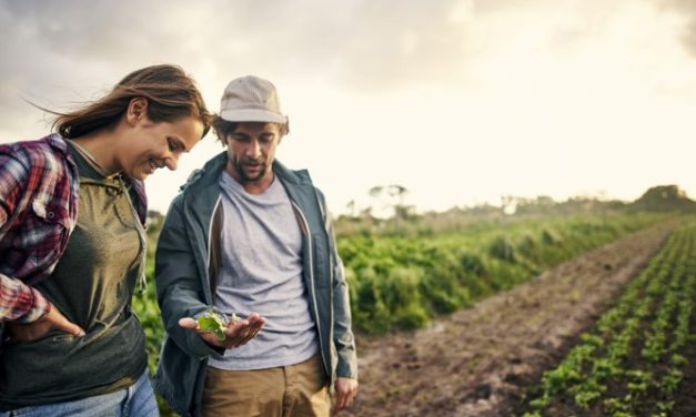 Curso de Agricultura Biológica e Sustentável