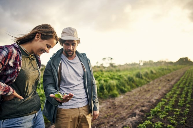 Curso de Agricultura Biológica e Sustentável