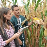 Curso de gestão agrícola à distância (com certificado)